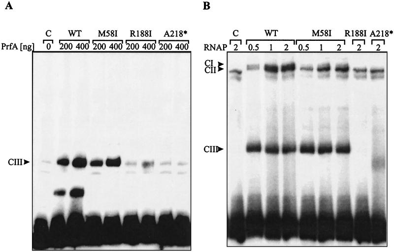 FIG. 5