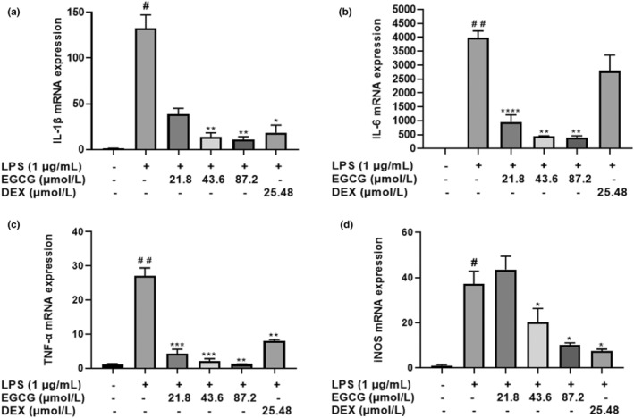 FIGURE 15