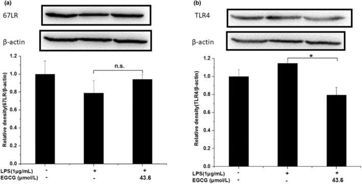 FIGURE 20