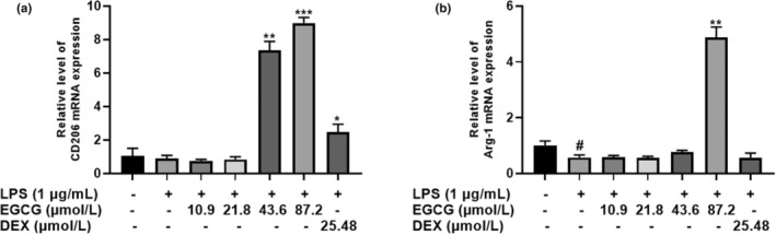 FIGURE 16