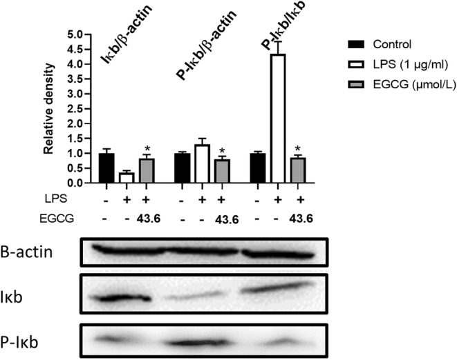 FIGURE 17