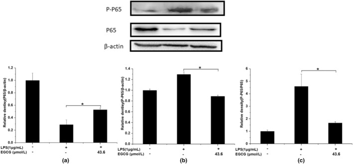 FIGURE 18