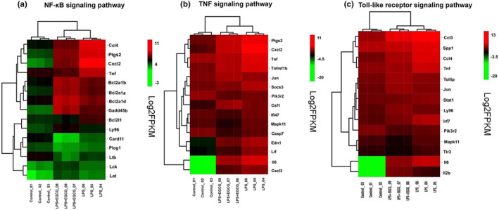 FIGURE 14