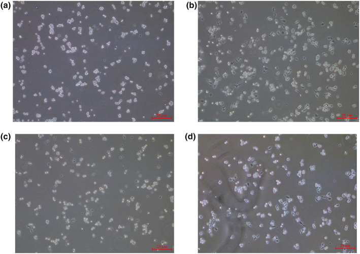 FIGURE 2