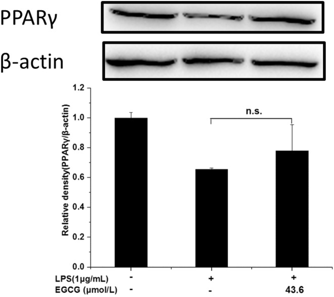 FIGURE 19