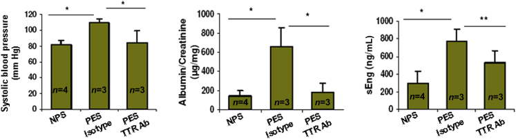 Figure 6