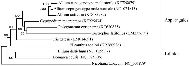 Figure 1.