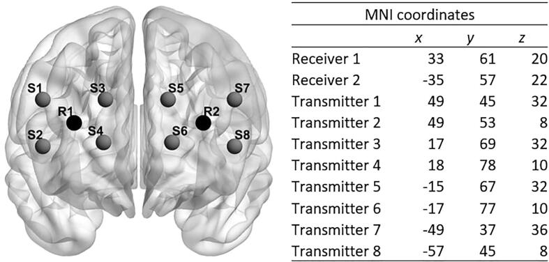 Fig. 1