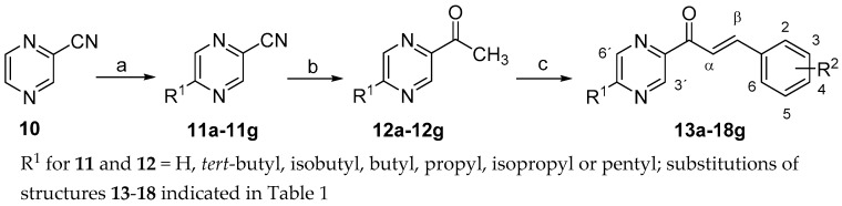 Scheme 1