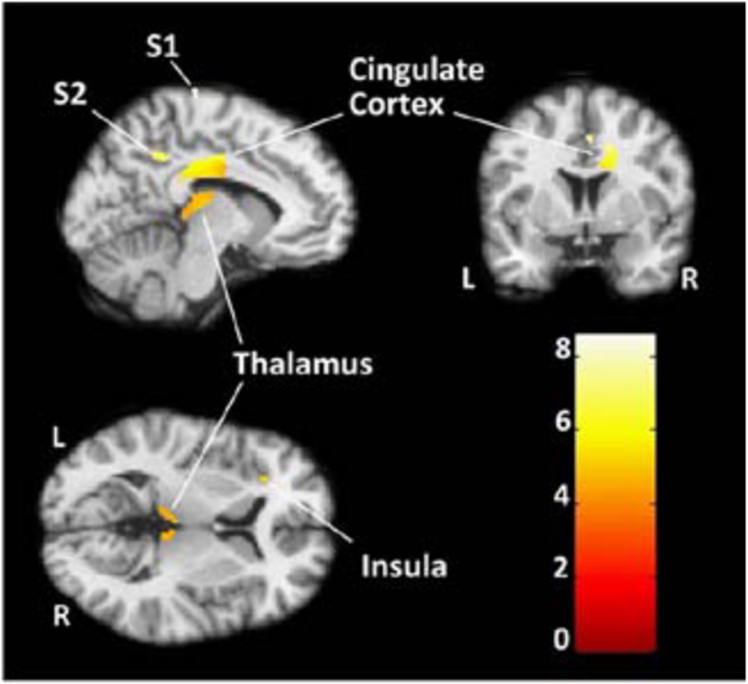 Figure 1: