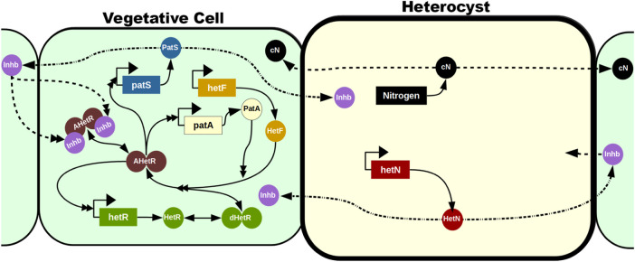 FIGURE 5