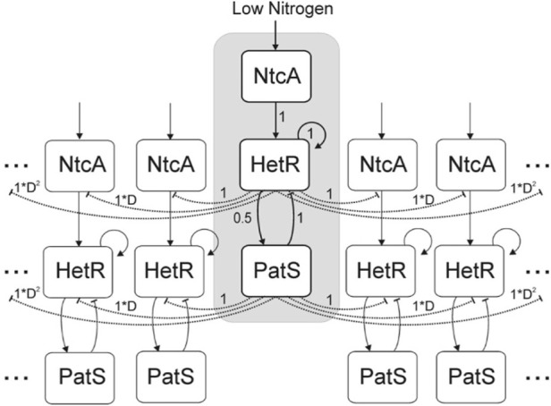 FIGURE 3