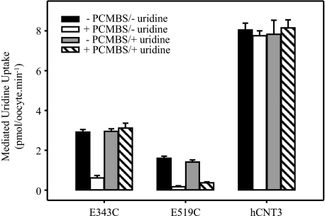 FIGURE 13.