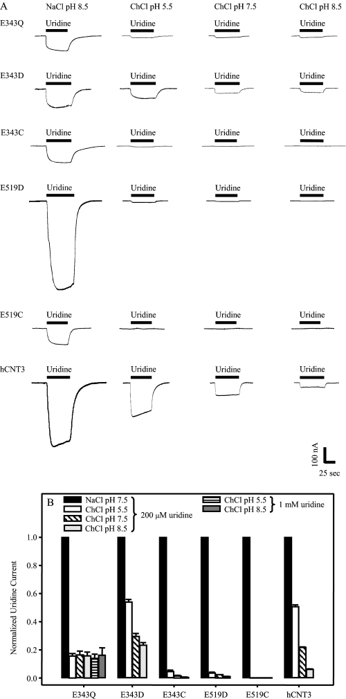 FIGURE 9.