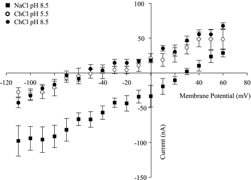 FIGURE 11.