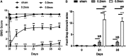 <b>FIG. 2.</b>