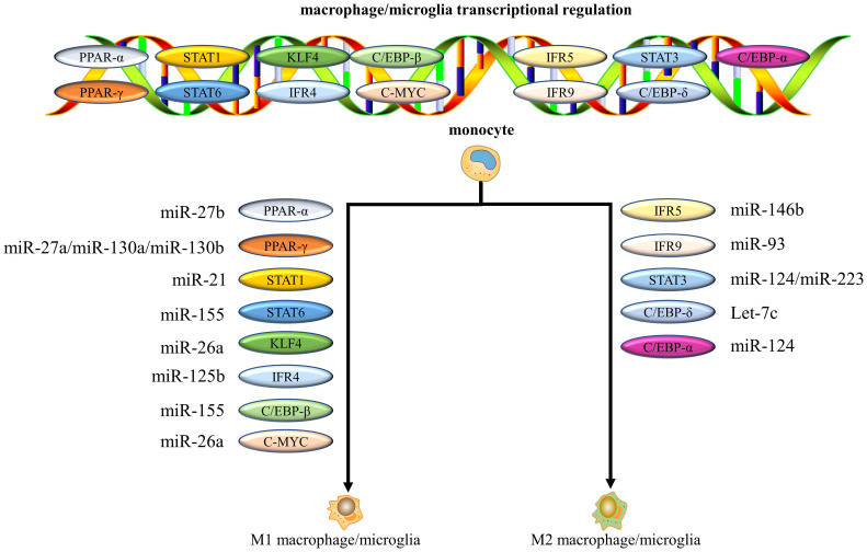 Figure 4