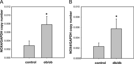 FIGURE 10.