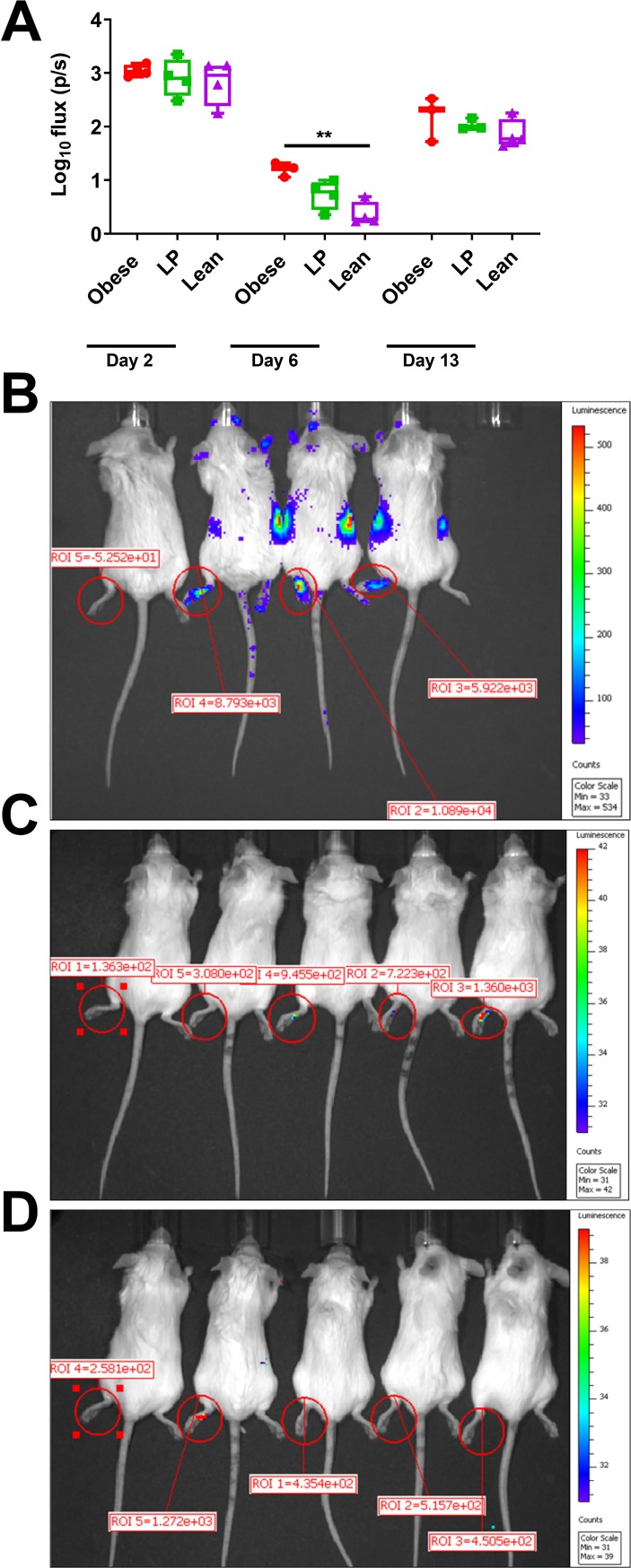 Fig 4