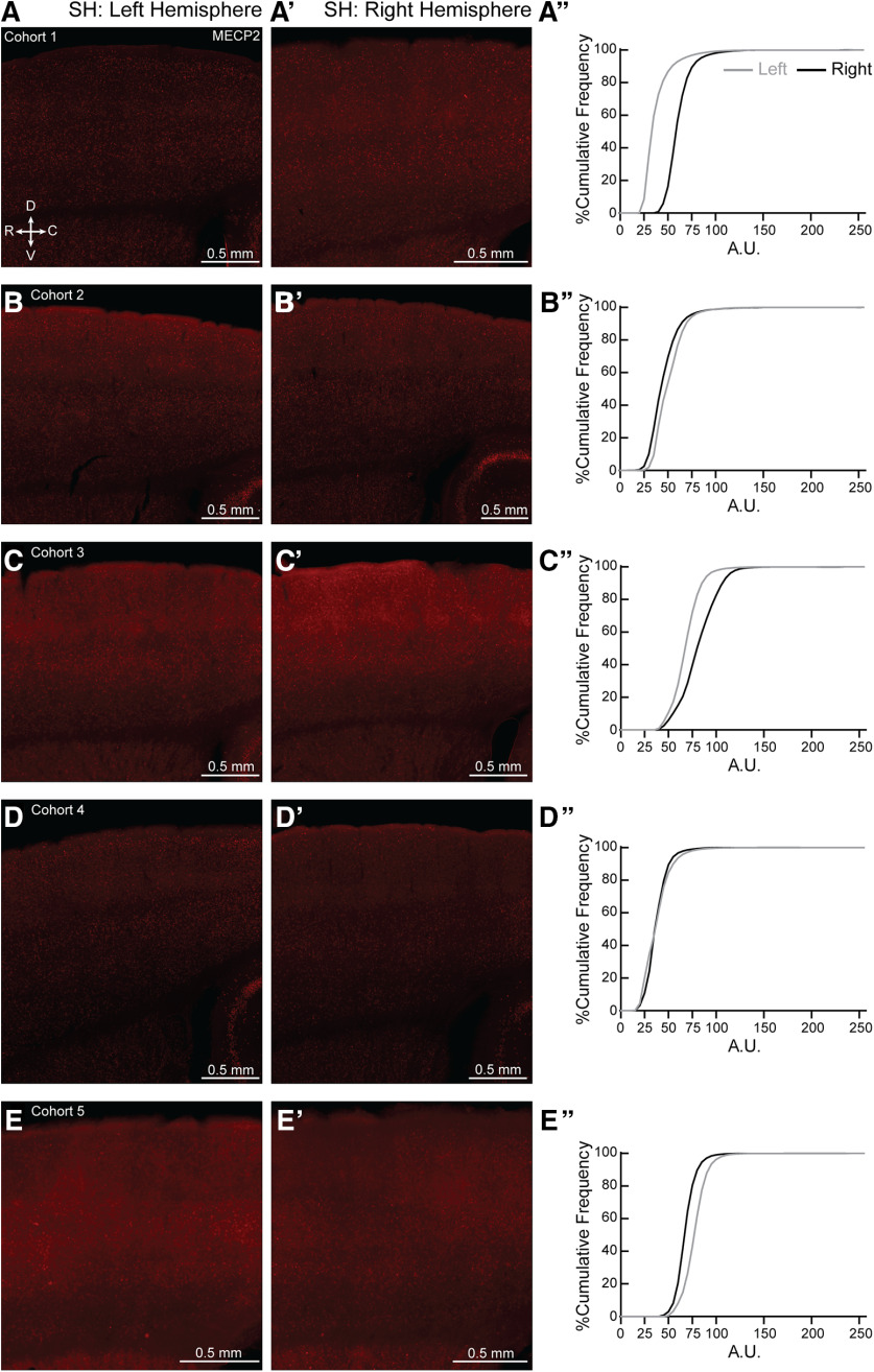 Figure 12.