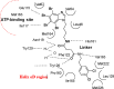 Figure 25