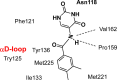 Figure 23