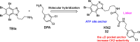 Figure 24