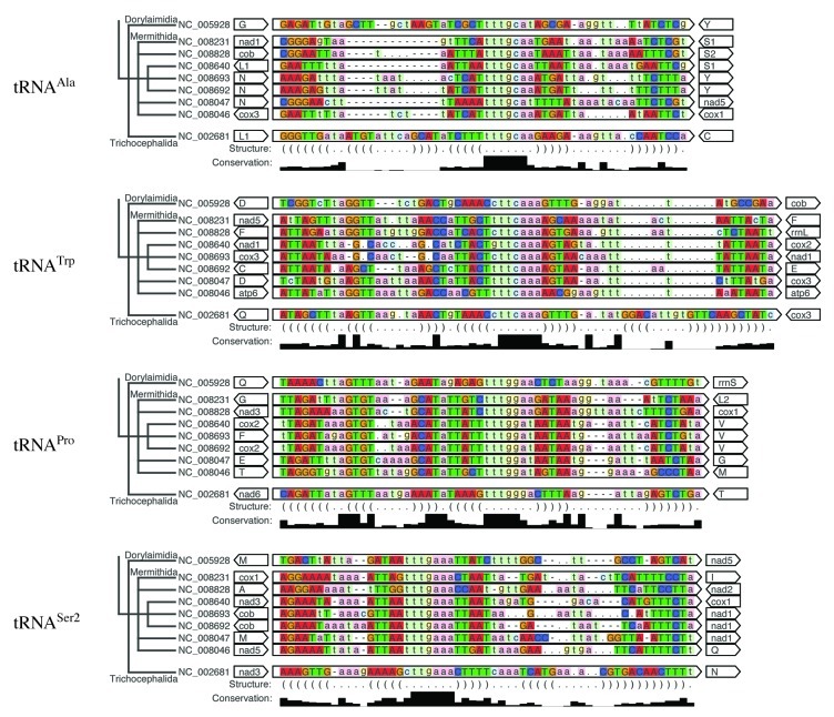 graphic file with name rna-9-1161-g2.jpg