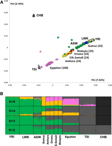 Figure 1