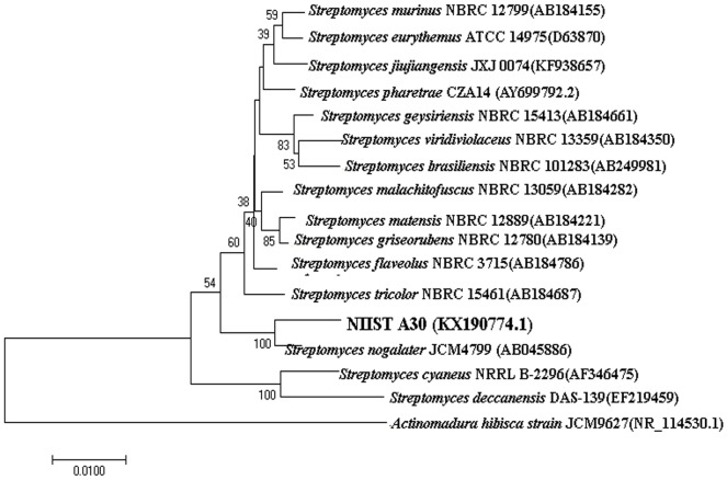 Fig 2