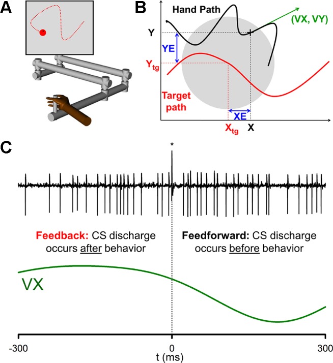 Fig. 1.