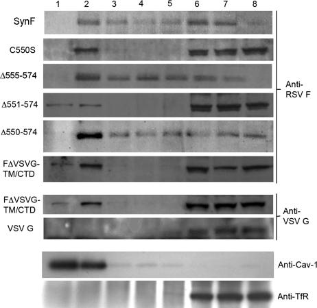 FIG. 5.