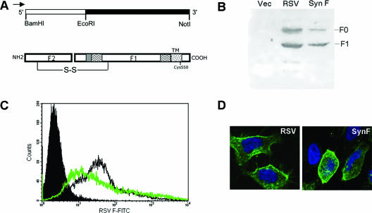 FIG. 2.