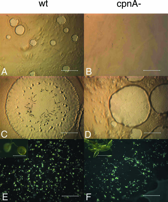 FIG. 7.