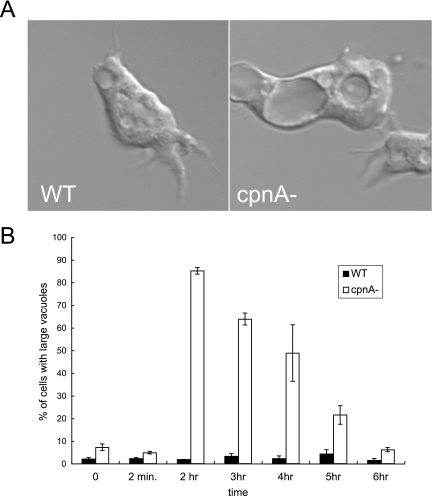 FIG. 8.