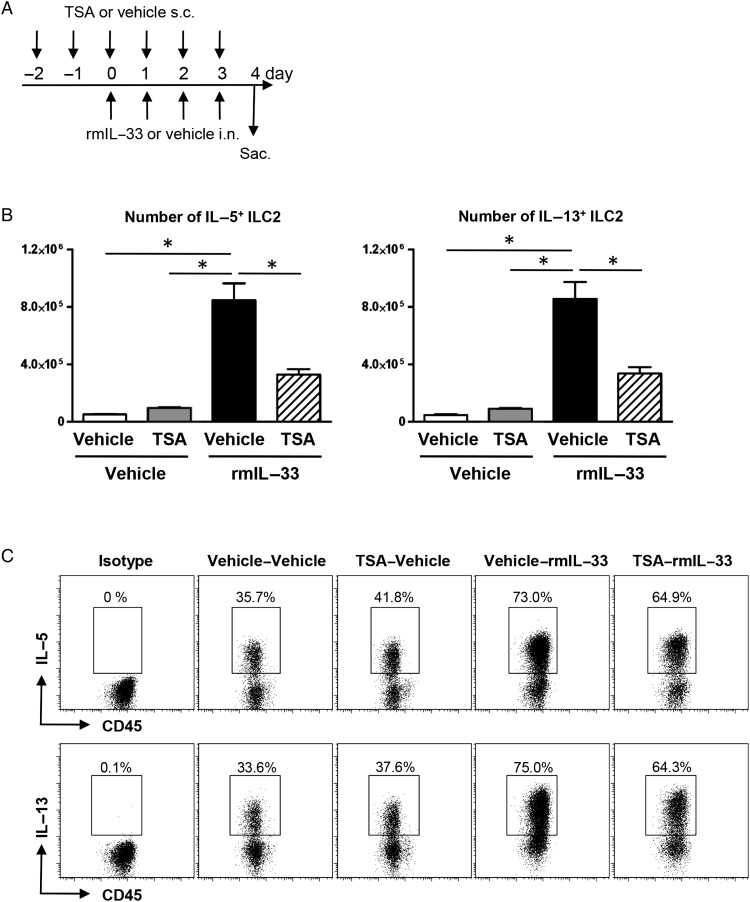 Figure 6