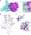 FIGURE 2.