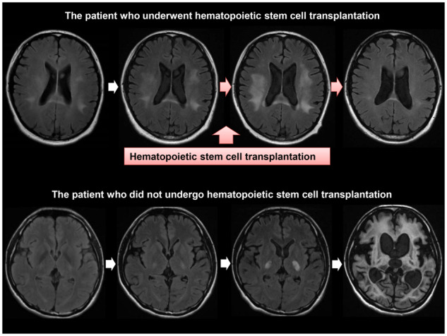 Graphical Abstract