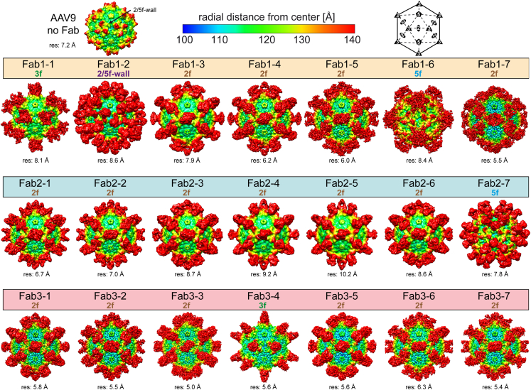 Figure 5