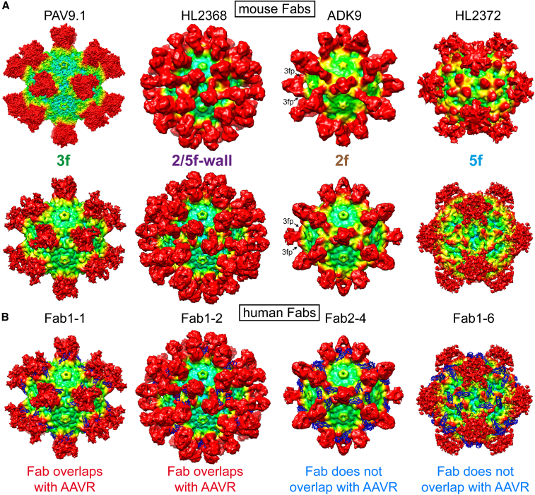 Figure 6