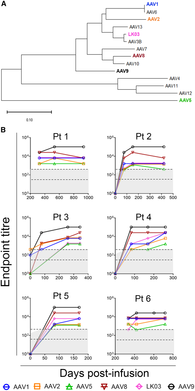 Figure 2