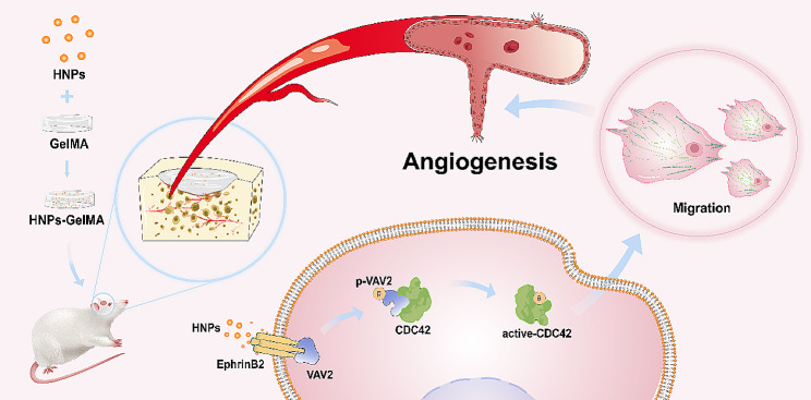 graphic file with name 12951_2024_2642_Figa_HTML.jpg