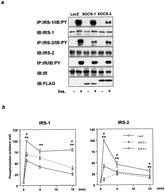 FIG. 5.