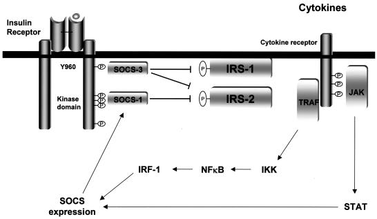 FIG. 8.