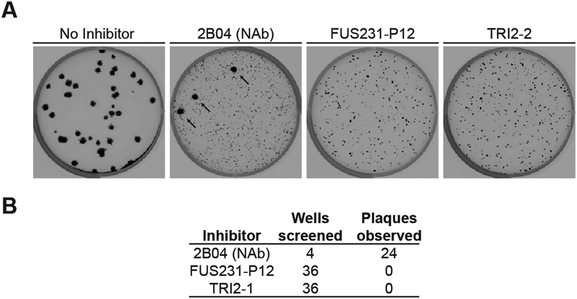 Fig 5.