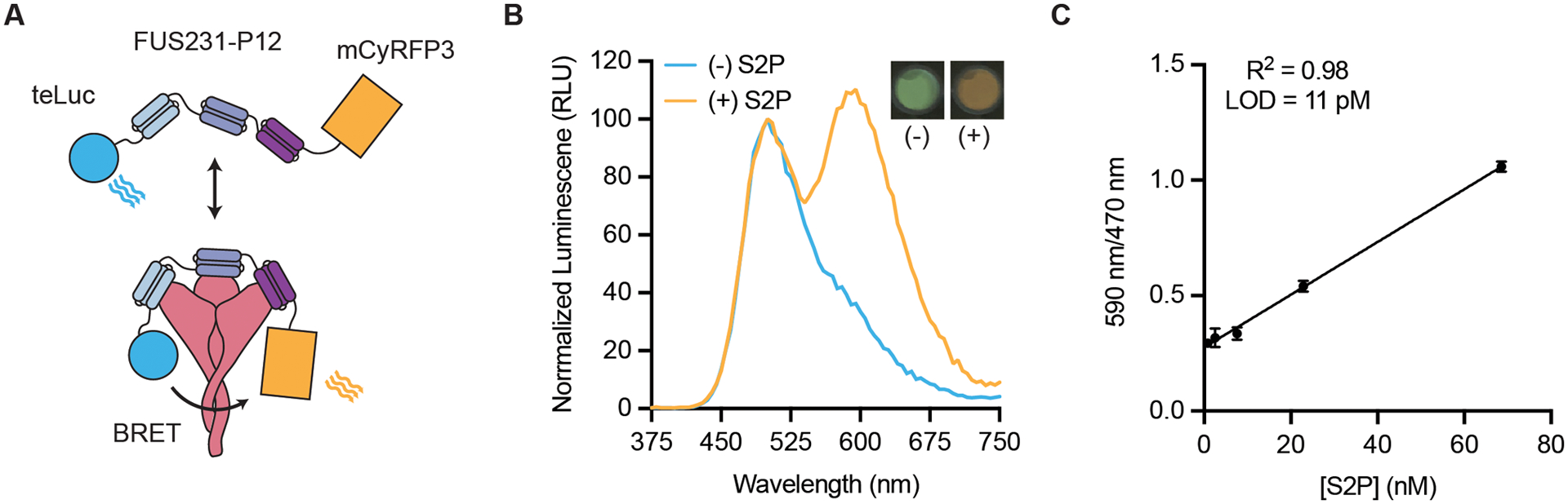 Fig 3.