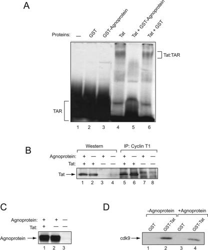 FIG. 6.