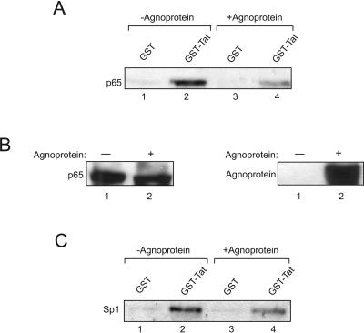 FIG. 7.