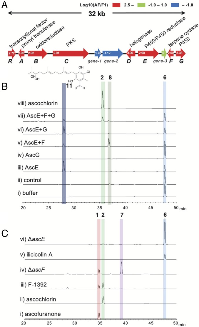 Fig. 3.