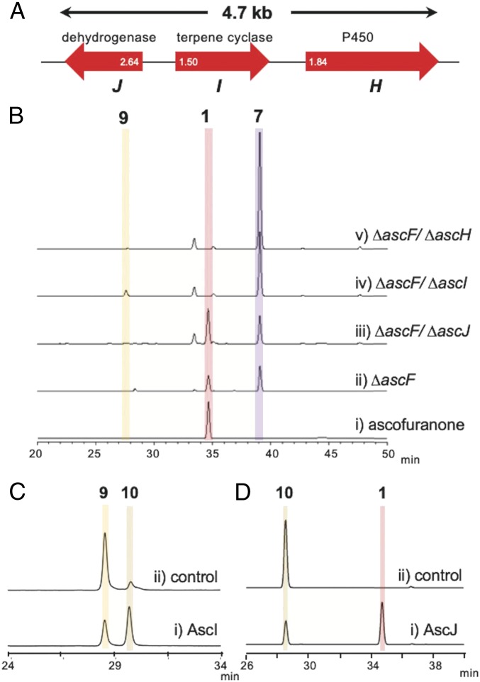 Fig. 4.